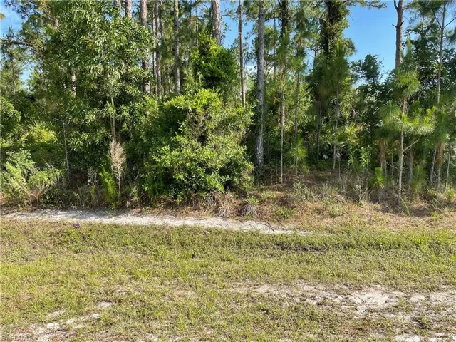 0 29th Ave Everglades Blvd, Naples, Florida 34120