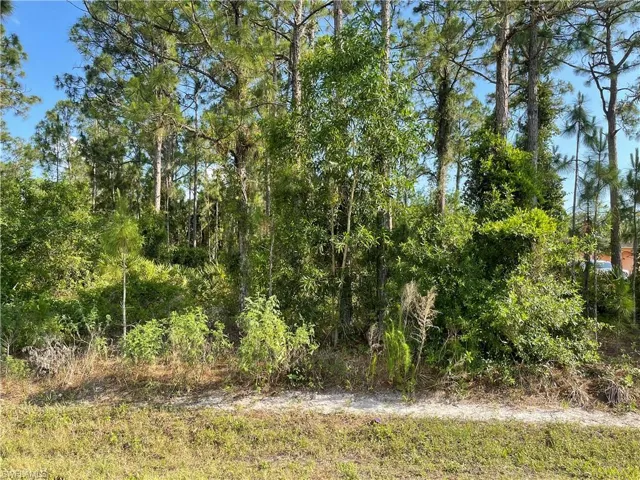 0 29th Ave Everglades Blvd, Naples, Florida 34120