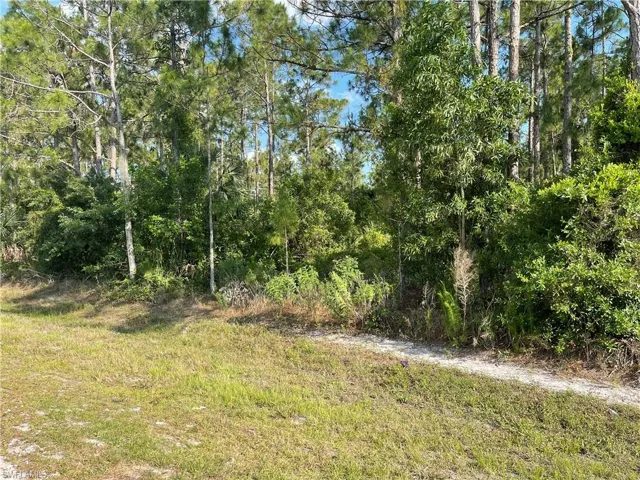 0 29th Ave Everglades Blvd, Naples, Florida 34120