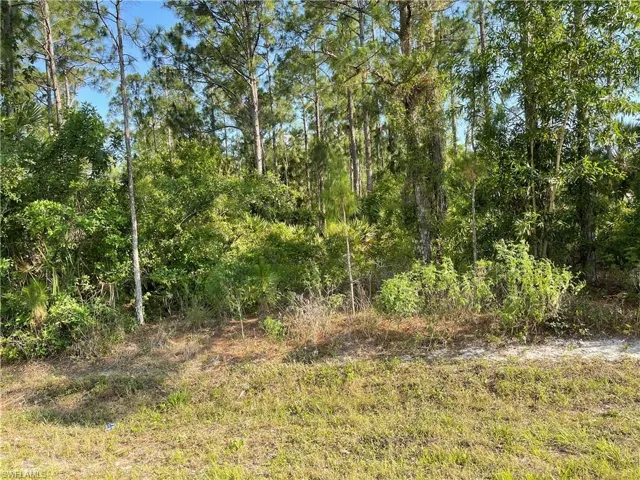 0 29th Ave Everglades Blvd, Naples, Florida 34120