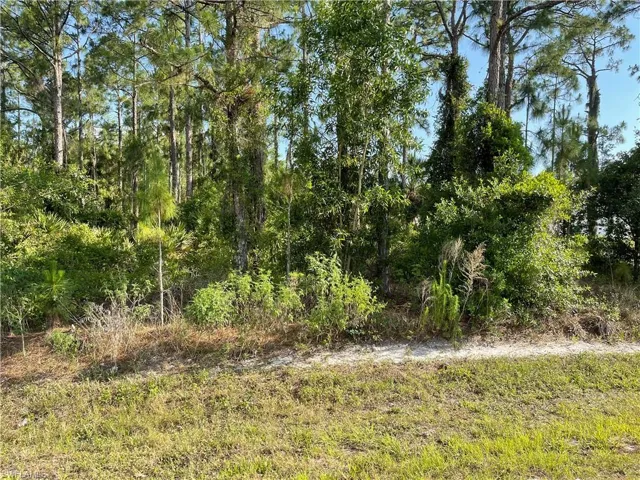 0 29th Ave Everglades Blvd, Naples, Florida 34120