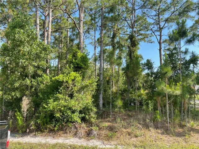 0 29th Ave Everglades Blvd, Naples, Florida 34120