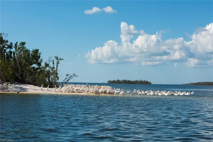 194 Newport Dr 908, Naples, Florida 34114