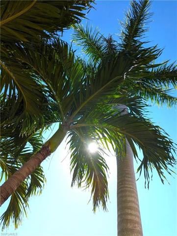 Ready to trade COLD WHITE SNOW for WARM WHITE SAND?