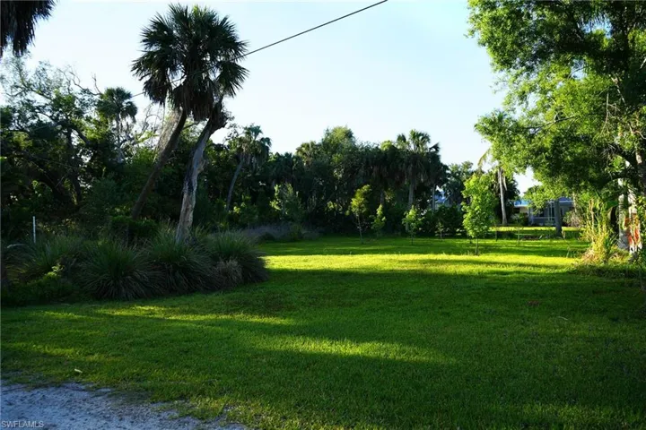 Looking South