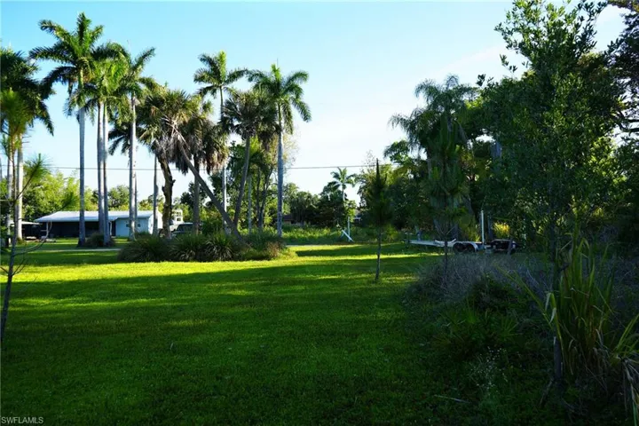 Looking North