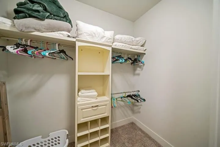 Spacious closet with vaulted ceiling and carpet