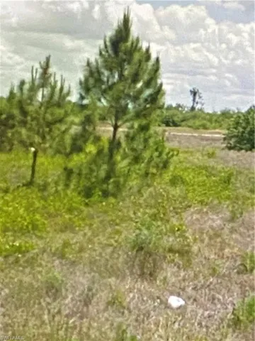 1412 Wells Ave, Lehigh Acres, Florida 33972