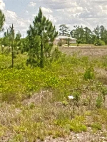 View of nature