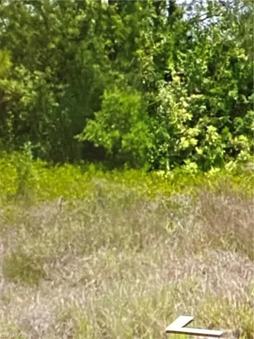 View of nature