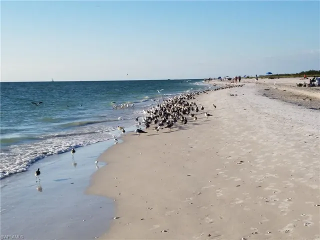 Marco Island beach 6 miles away!
