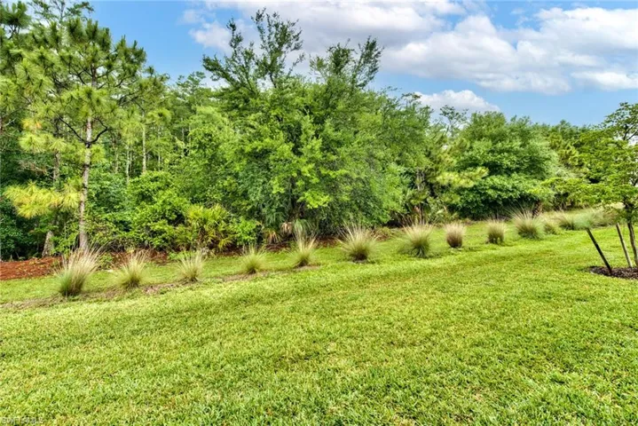 14223  Wild Timber  CT, Estero, FL 33928