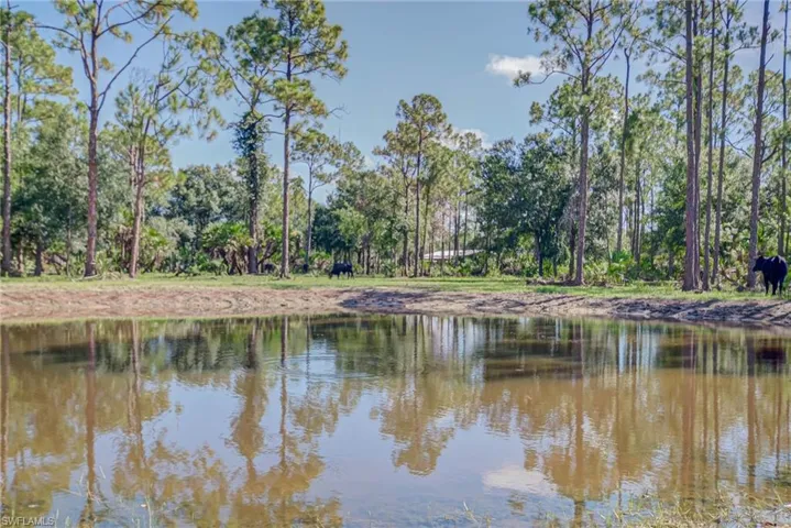 Bird's eye view of a large body of water and a heavily wooded area - YOU CAN SEE BABCOCK RANCH~