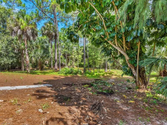 1215  Jung E BLVD, Naples, FL 34120