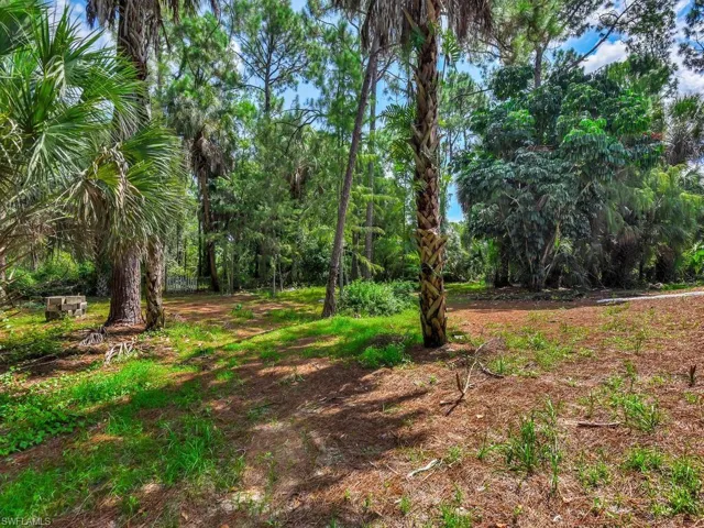 1215  Jung E BLVD, Naples, FL 34120