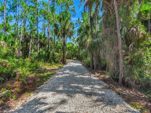 1215  Jung E BLVD, Naples, FL 34120