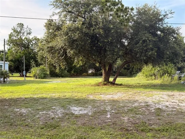 Expansive grassy lot featuring a large, mature tree and surrounding foliage