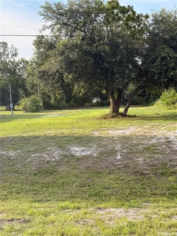 Expansive grassy lot with mature trees, offering ample open space