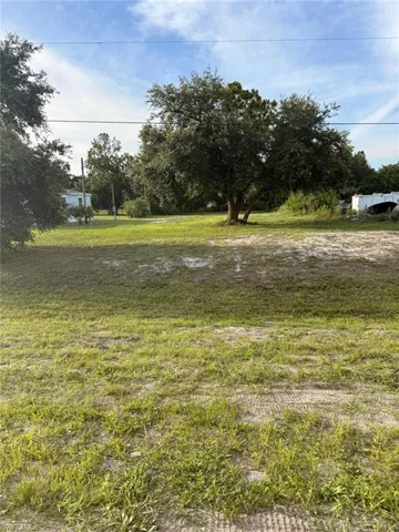 Spacious grass lot featuring mature trees and a clear sky