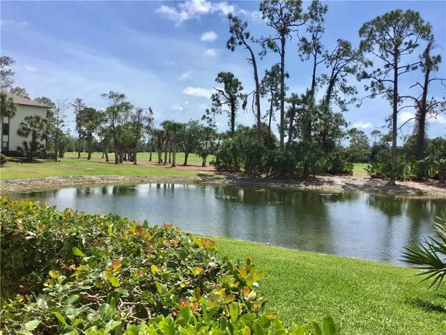 view from lanai