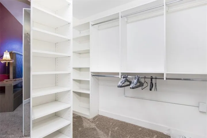 Spacious closet with carpet flooring