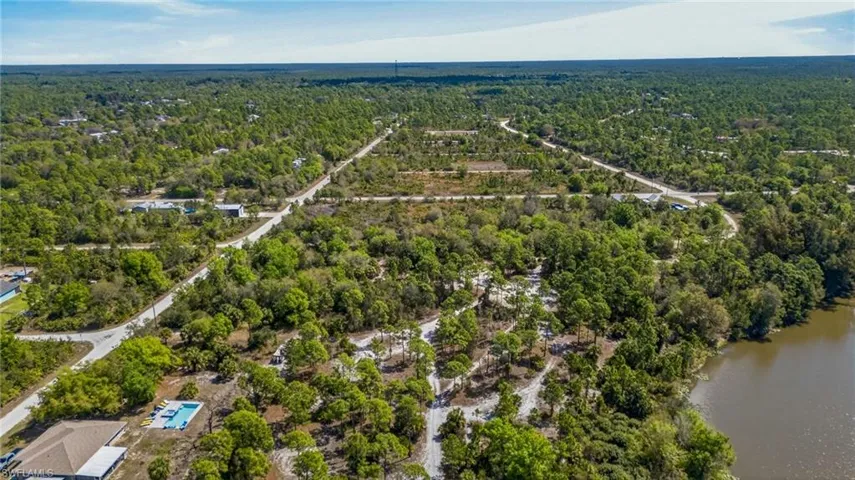 Aerial view of a forest and a large body of water