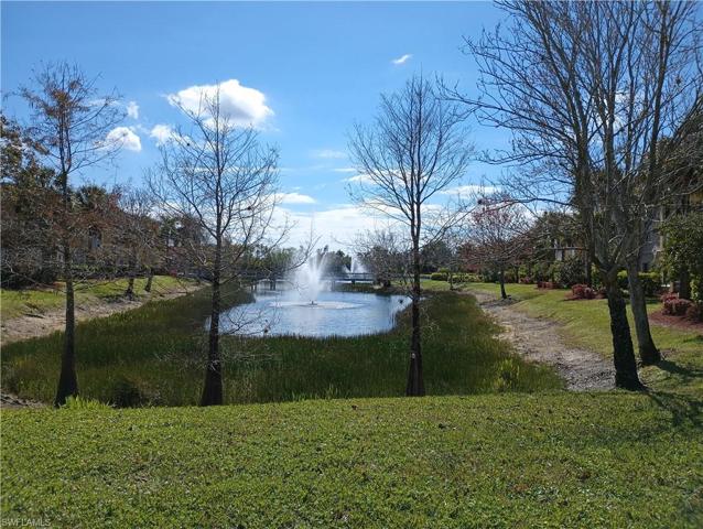 20273  Royal Villagio  CT, Estero, FL 33928