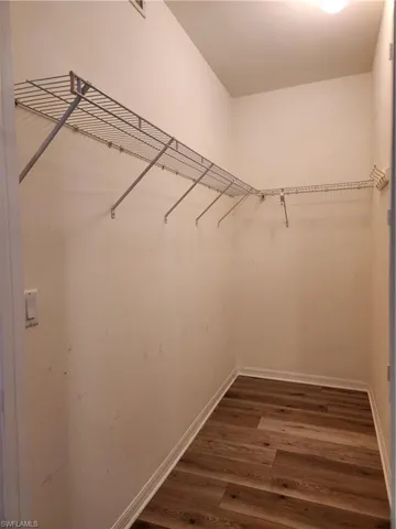 Guest Walk-in closet