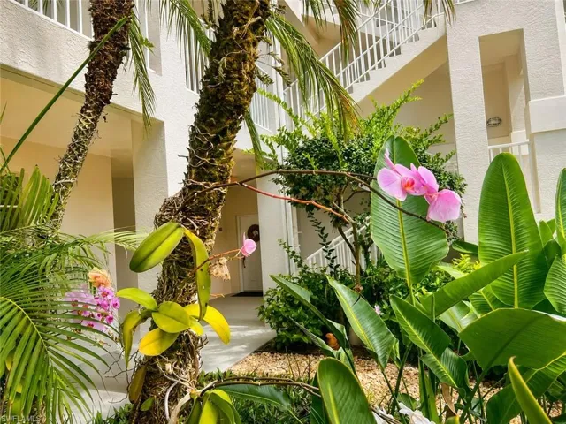 Luscious tropical landscaping