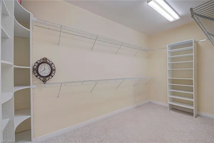 Walk in closet with light colored carpet