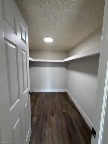 Walk in closet featuring dark wood-style floors