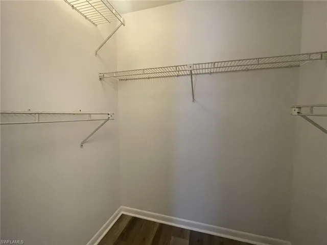 Spacious closet featuring dark wood-type flooring