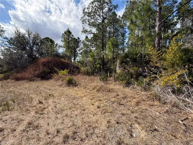 49337 Bermont Rd, Punta Gorda, Florida 33982