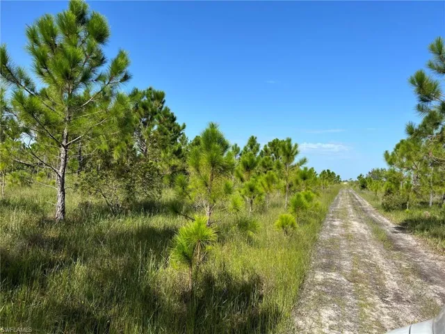 49337 Bermont Rd, Punta Gorda, Florida 33982