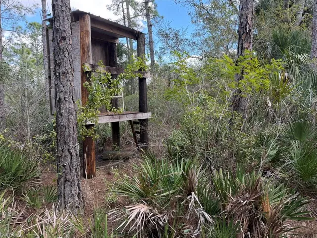 49337 Bermont Rd, Punta Gorda, Florida 33982