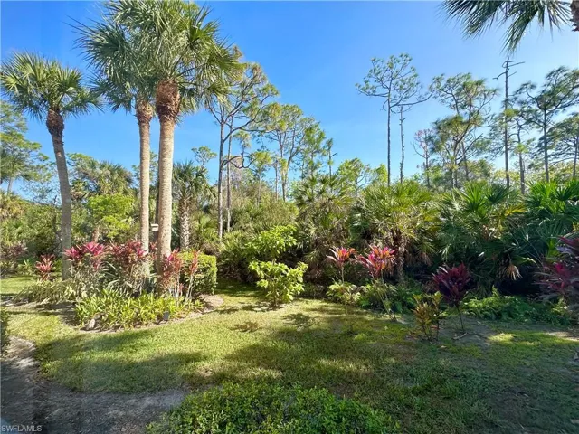 View of grassy yard