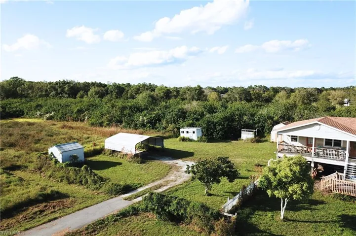 Aerial view of a forest