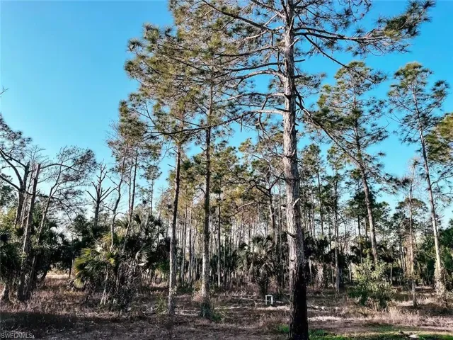 2396 50th Ave Ne, Naples, Florida 34120