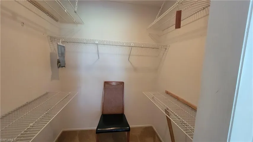 Spacious closet with carpet