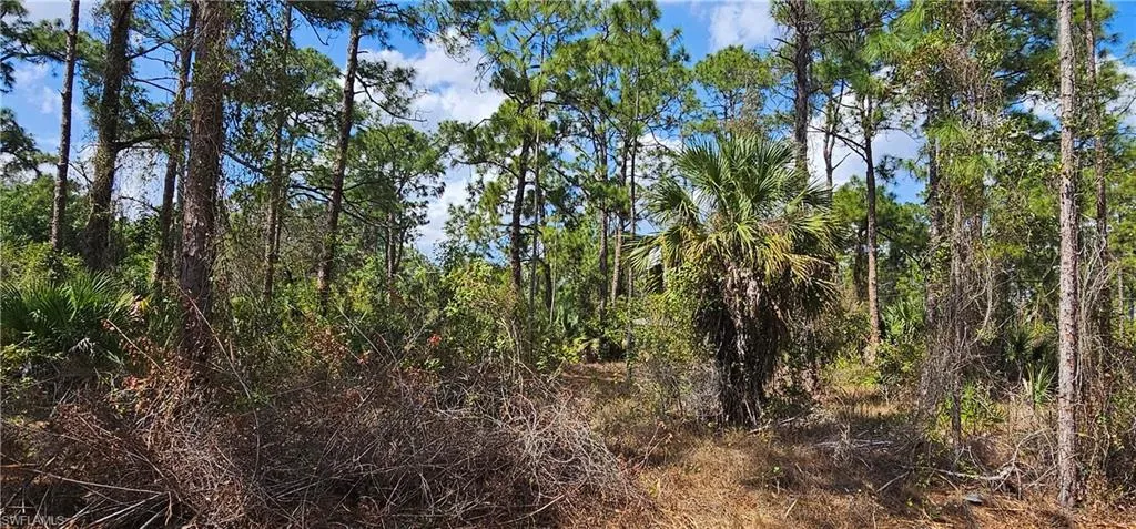 1123 Lincoln Ave, Lehigh Acres, Florida 33972