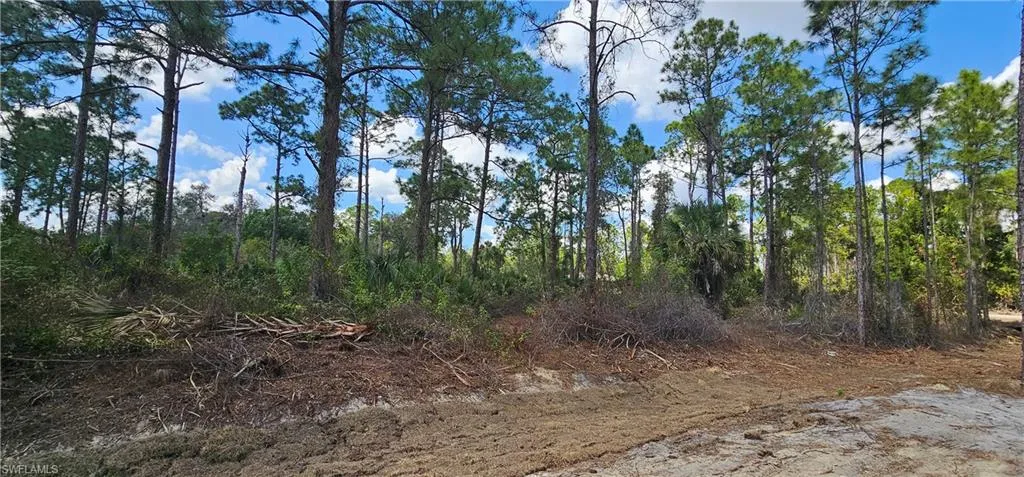 1123 Lincoln Ave, Lehigh Acres, Florida 33972