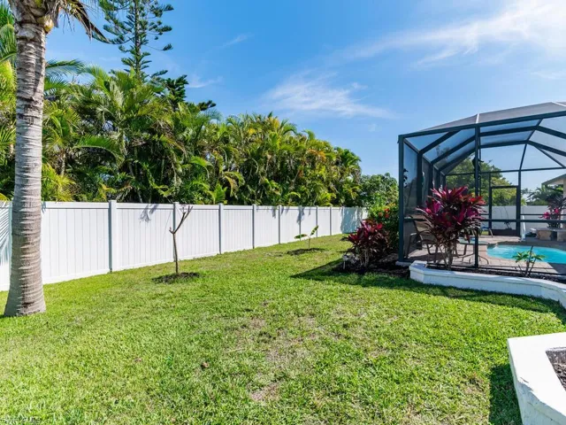 Back of yard