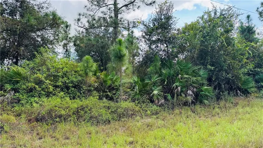 Partial front of lot,  See markers on the street picture 3.