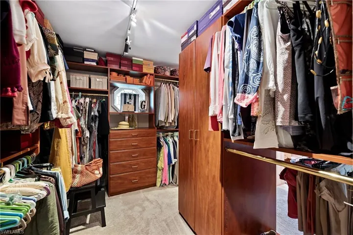 Spacious closet featuring light carpet