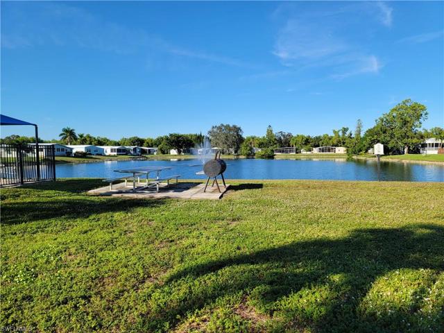 Pond outside of clubhouse.