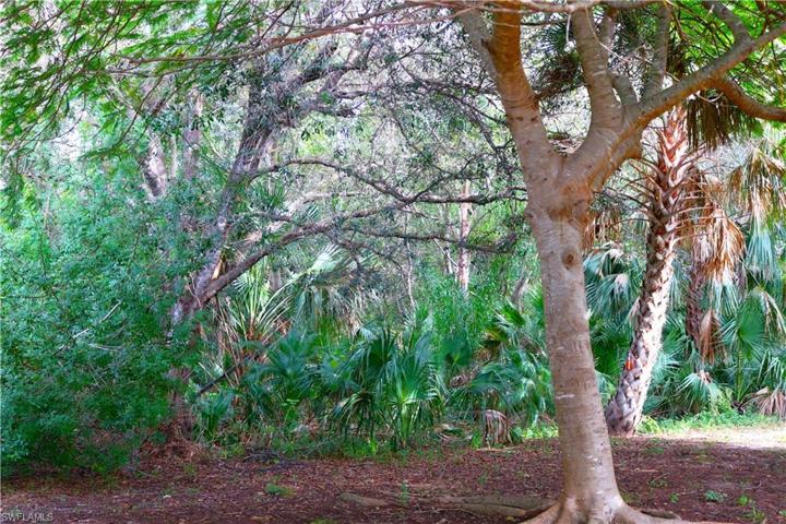 Dense woods right out the back, enjoy this view from the side of your home.