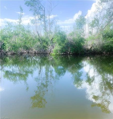 Beautiful Canal and preserve views