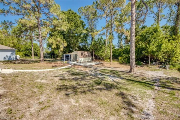 View of yard with an outbuilding, view of scattered trees, and a storage shed