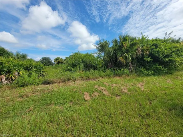 View of undeveloped land