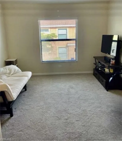 Carpeted Den